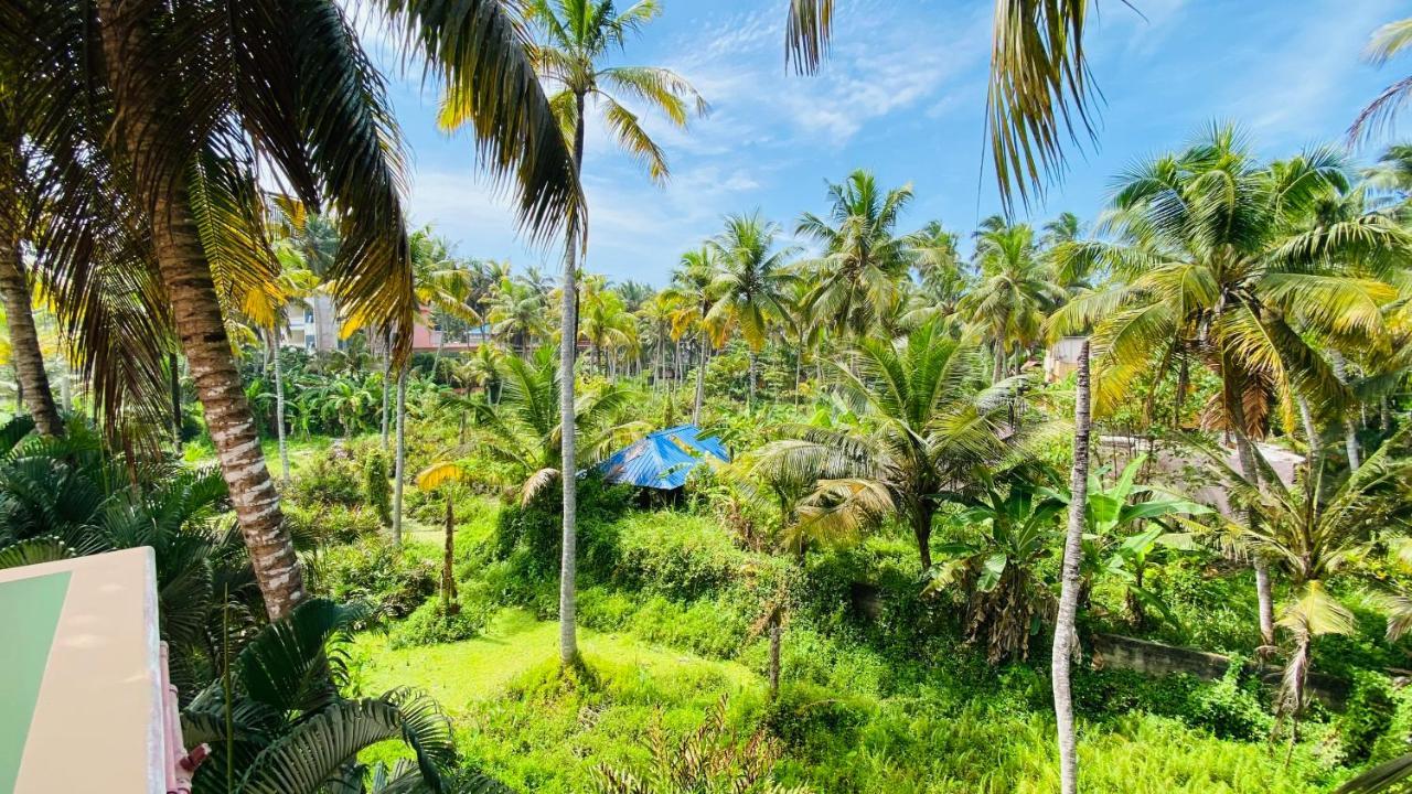 Packbag Comfort Bed & Breakfast Ковалам Экстерьер фото
